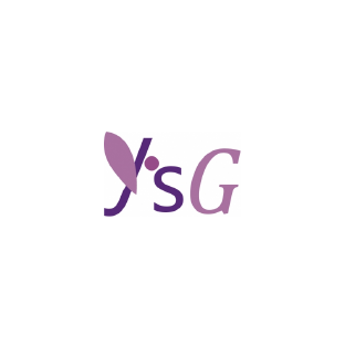 Y’s Global Vision Inc.
